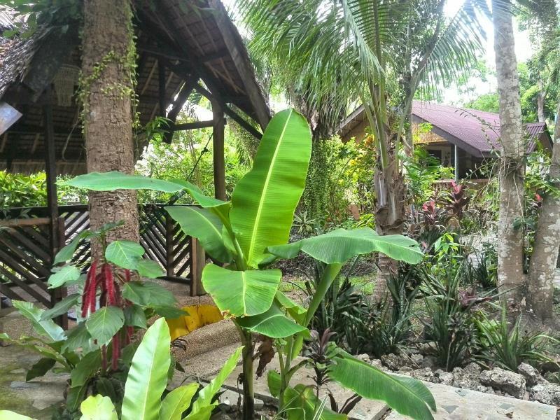 Bananaland Cottages Tawala  Exterior photo